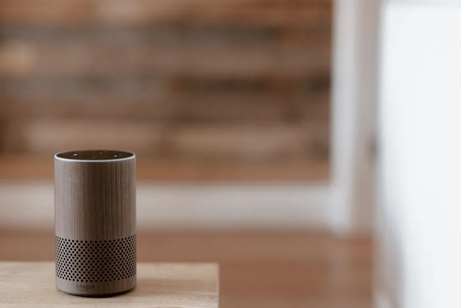 Ecommerce marketer optimizing Amazon Echo voice search listings to drive higher sales on Alexa devices