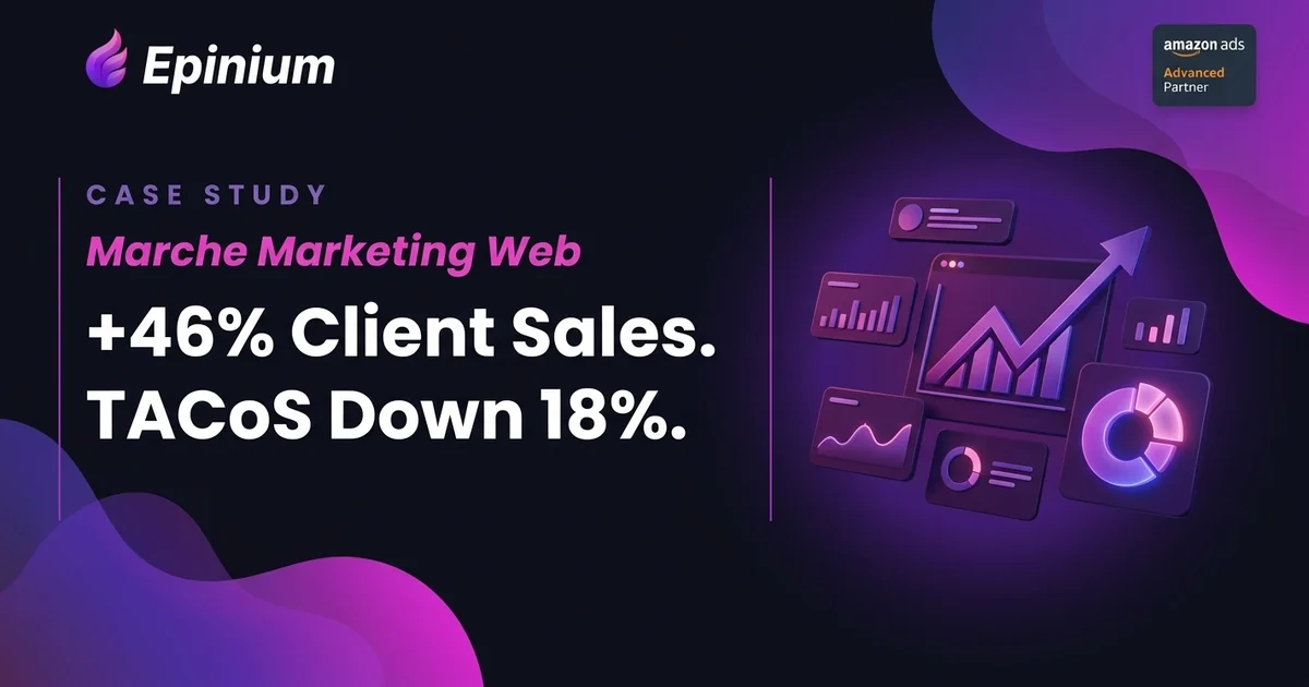 Marche Marketing Web case study