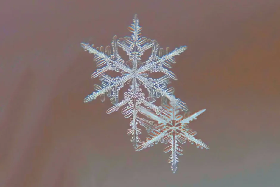 Software developer configuring an MCP Snowflake integration to help enterprise brands automate data analysis with AI agents.